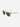 Smoke / Dark Green